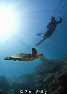 Lyn snorkelling with a turtle at Nosy Tanikely, Madagascar by Geoff Spiby 